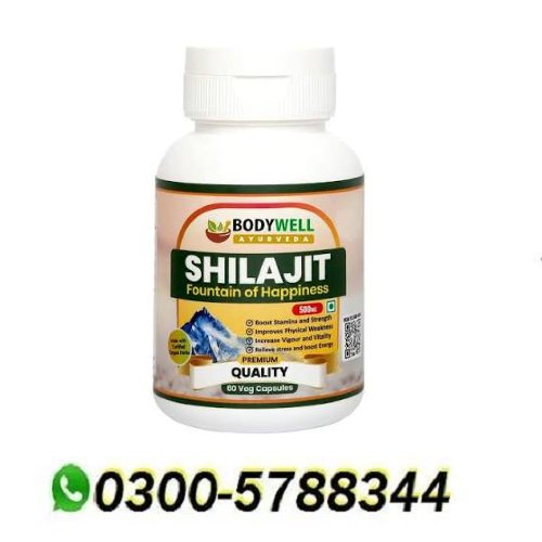 Bodywell Shilajit In Pakistan