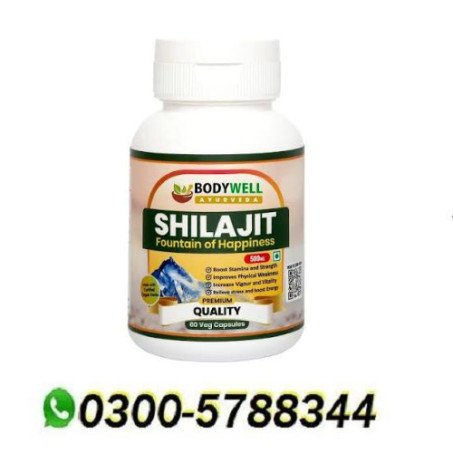 Bodywell Shilajit In Pakistan