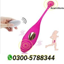 Wireless Fish Vibrator With Remote Control